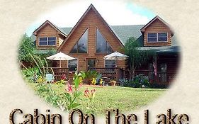 Cabin On The Lake